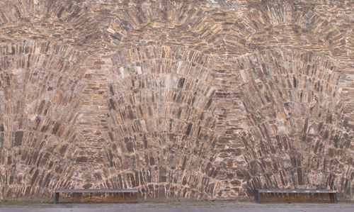 View of a reptile in the sea