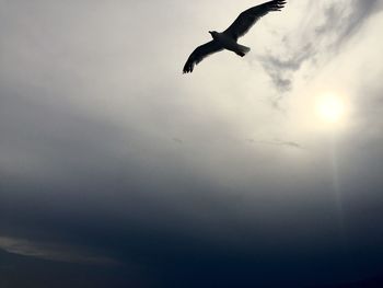 Low angle view of silhouette bird flying against sky