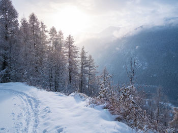 snow