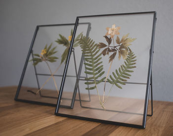 High angle view of plants on table against wall