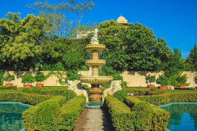 View of trees in garden