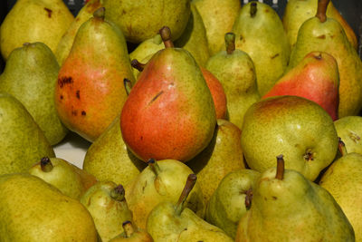 Close-up of pears for sale at market