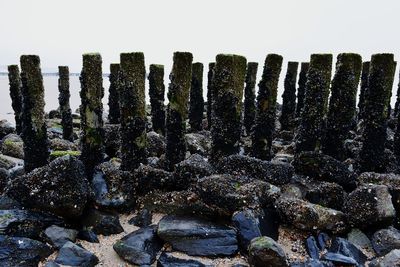 Panoramic view of rocks against sky