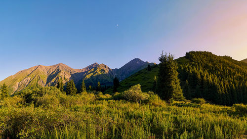 Scenic view of mountains against clear blue sky