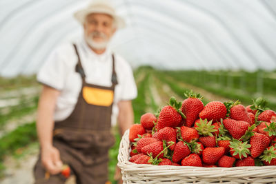 Full length of young woman with strawberries in basket