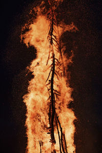 Low angle view of fire on field at night