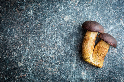 High angle view of bread on table