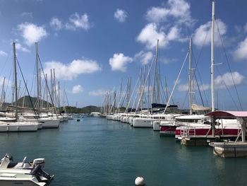 Sailboats moored at harbor against sky