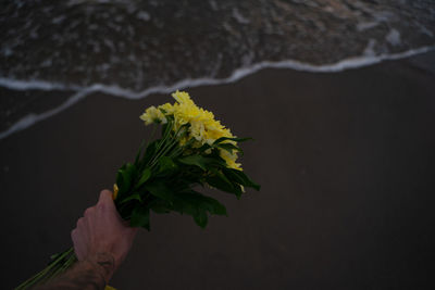 yellow