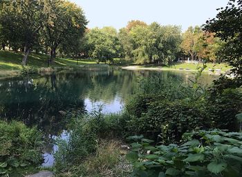 Scenic view of lake by trees against sky