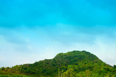 Scenic view of tree mountain against blue sky