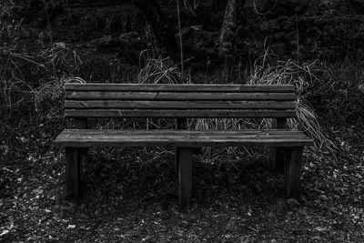 Empty bench in park