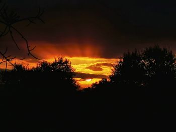 Silhouette trees against dramatic sky during sunset