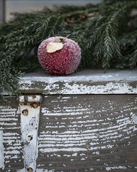 Close-up of strawberry on snow