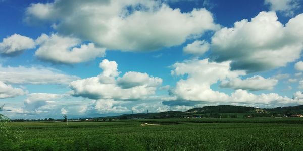 Scenic view of agricultural field against sky