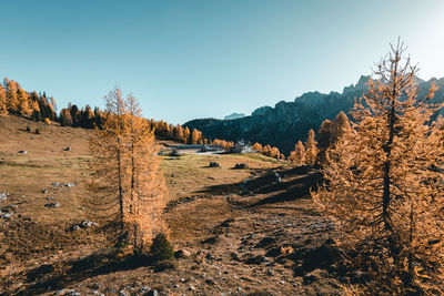 Scenic view of landscape against clear sky