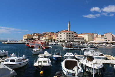 Boats in the rovinj harbour