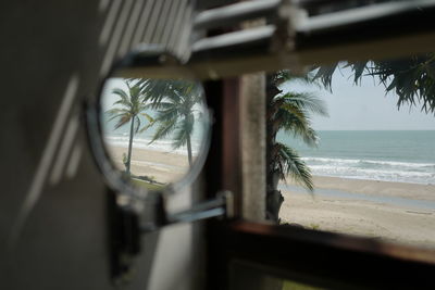Palm trees by sea seen through window