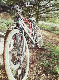 Bicycle parked by tree on field