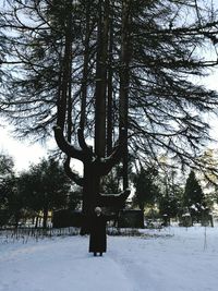 Trees on snow covered landscape during winter