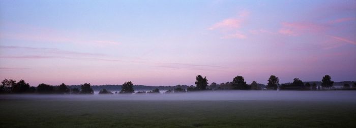 Trees on field against sky during sunset