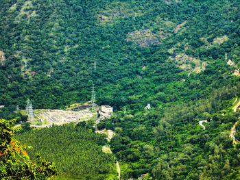 High angle view of trees growing on landscape