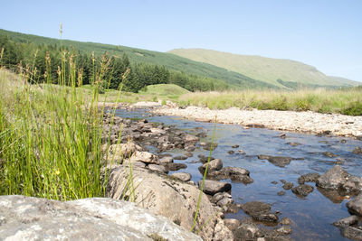 Stream flowing through rocks