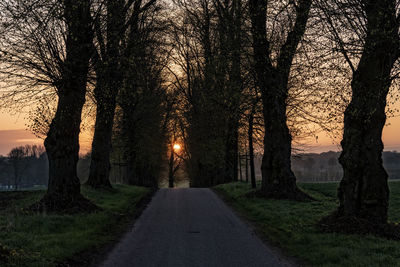 Road amidst trees against sky during sunset