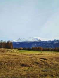 Scenic view of field against sky