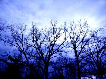 Low angle view of bare tree against blue sky