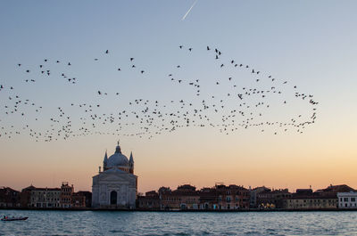 Birds flying over river against sky during sunset