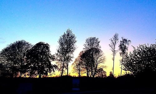 Silhouette of trees against sky at sunset