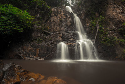 Scenic view of waterfall in forest