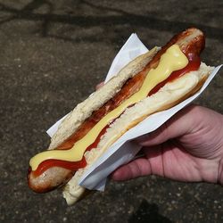 Close-up of cropped hand