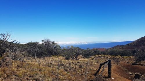 Scenic view of landscape against clear sky