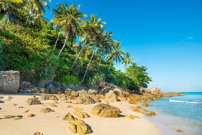 Scenic view of sea against clear sky