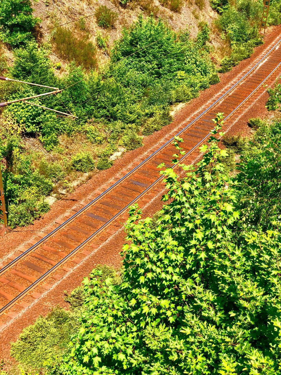 HIGH ANGLE VIEW OF RAILROAD TRACK AMIDST TREES