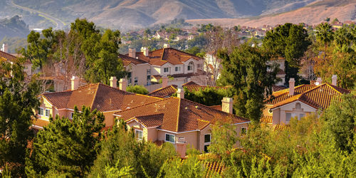 Houses and trees and buildings in city