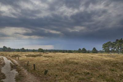 Scenic view of field against sky