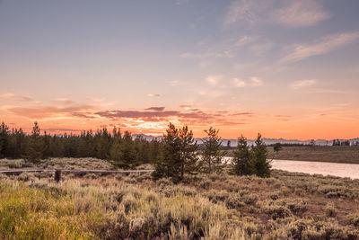 Scenic view of field against sky during sunset