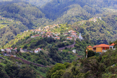 High angle view of houses and trees in forest