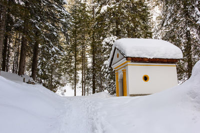 Snow covered trees in winter