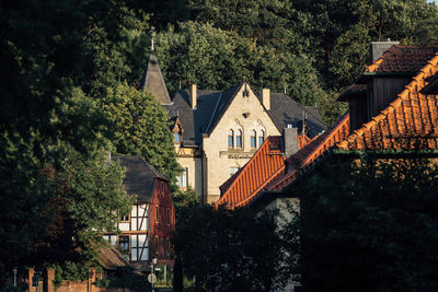 Houses and trees by house in forest