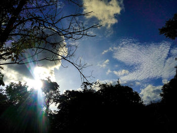 Low angle view of silhouette trees against sky during sunset