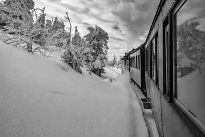 Snow covered plants and trees against sky