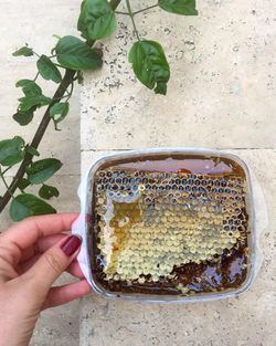 Cropped hand of woman holding honeycomb in plastic box on steps