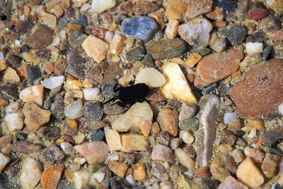 High angle view of stones