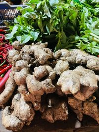 High angle view of vegetables on plant