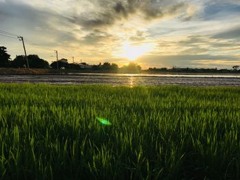 Scenic view of field against sky during sunset