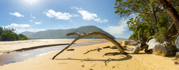 Scenic view of beach against sky